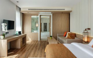 Duplex-Grand-Delux